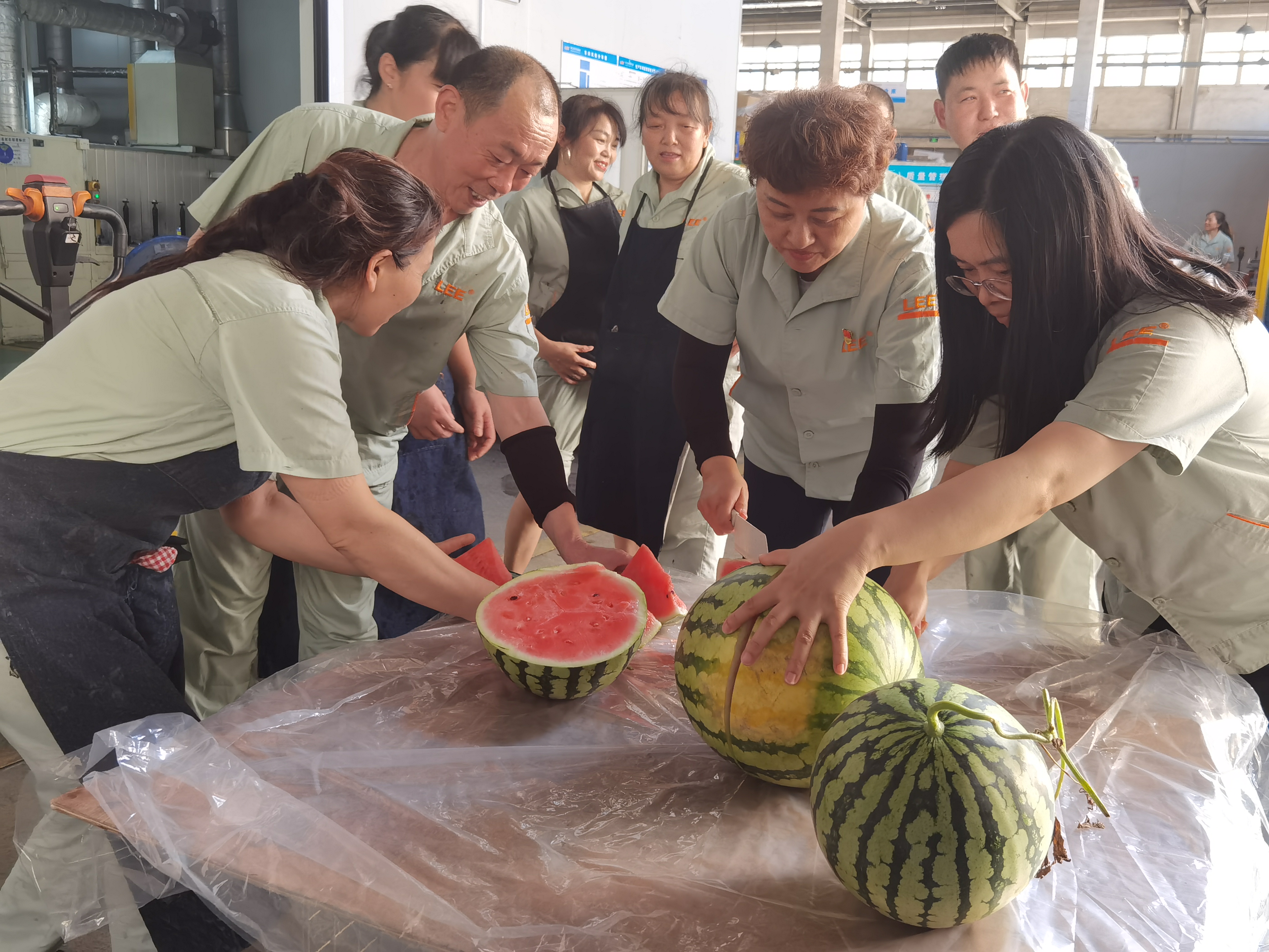 尊龙凯时·(中国游)官方网站